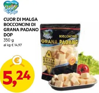 DPiù CUOR DI MALGA BOCCONCINI DI GRANA PADANO DOP 350 G offerta