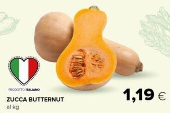 Oasi ZUCCA BUTTERNUT offerta