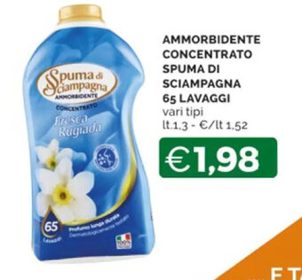 Mercatò AMMORBIDENTE CONCENTRATO SPUMA DI SCIAMPAGNA 65 LAVAGGI vari tipi lt.1.3 offerta