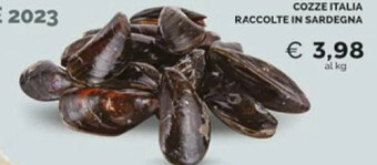 Mercatò COZZE ITALIA RACCOLTE IN SARDEGNA offerta