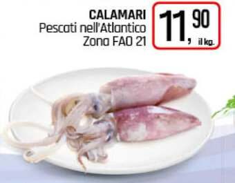 Famila Superstore CALAMARI offerta