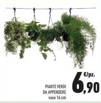 Conad Piante offerta