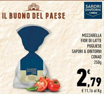 Conad MOZZARELLA FIOR DI LATTE PUGLIESE SAPORI & DINTORNI CONAD 250g offerta