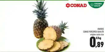 Conad Costa Ananas offerta