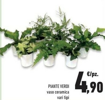 Conad Piante offerta