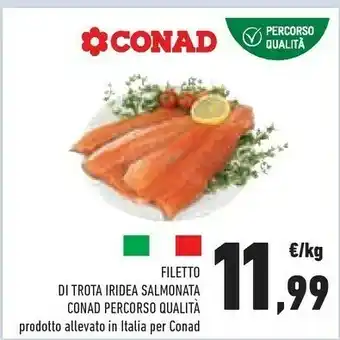 Conad Superstore Trota offerta