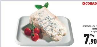 Conad Gorgonzola offerta
