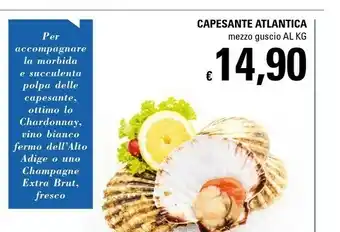 Capesante Atlantica