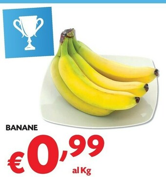 Pam Banane offerta