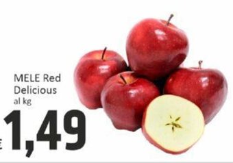 Paghi Poco MELE Red Delicious al kg offerta