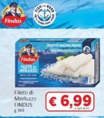 Paghi Poco Filetti di Merluzzo FINDUS g 360 offerta