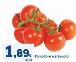 Sigma Pomodoro a grappolo offerta