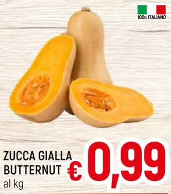 A&O ZUCCA GIALLA BUTTERNUT offerta