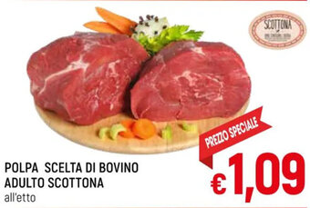 A&O POLPA SCELTA DI BOVINO ADULTO SCOTTONA all'etto offerta