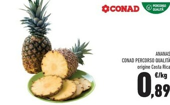 Conad Ananas offerta