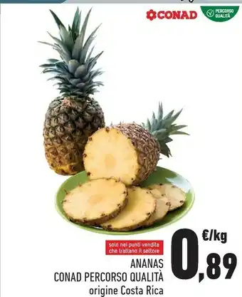 Conad Conad Ananas Origine Costa Rica offerta