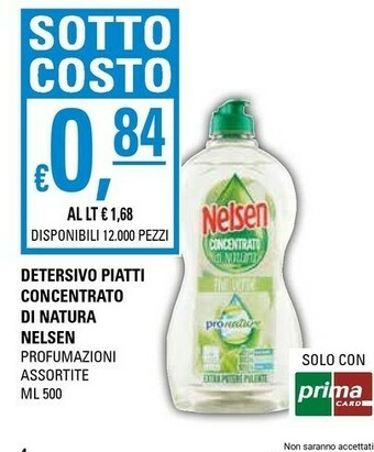 Basko Nelsen Detersivo piatti offerta