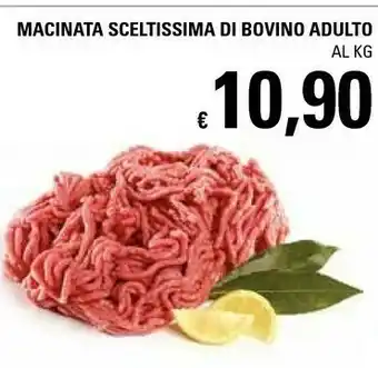 Basko Carne macinata offerta
