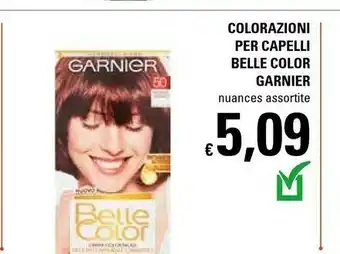Basko Garnier Tinte capelli offerta