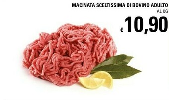Basko Macinata Sceltissima Di Bovino Adulto offerta