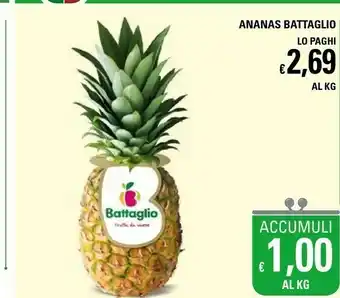 Basko Battaglio Ananas offerta