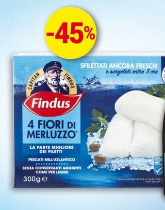 Unes 4 fiori di merluzzo FINDUS 300 g offerta