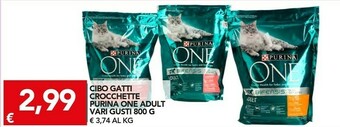 TuoDi Purina Cibo per gatti offerta