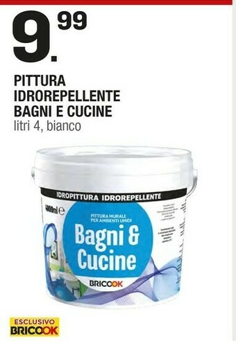 Brico OK Idropittura offerta