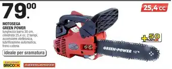 Brico OK Attrezzi da giardino offerta