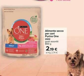 Carrefour Purina Cibo per cani offerta