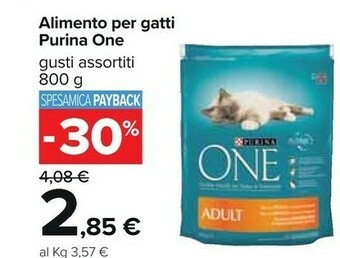 Carrefour Purina Cibo per gatti offerta