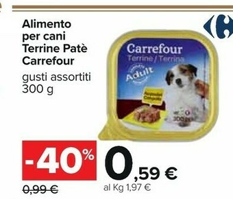 Carrefour Cibo per cani offerta
