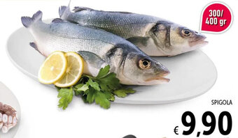 Spazio Conad SPIGOLA offerta