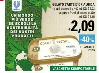 Basko Algida Carte D'Or Yogurt & Frutti Di Bosco 370 G(ml) offerta