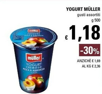 Muller Yogurt