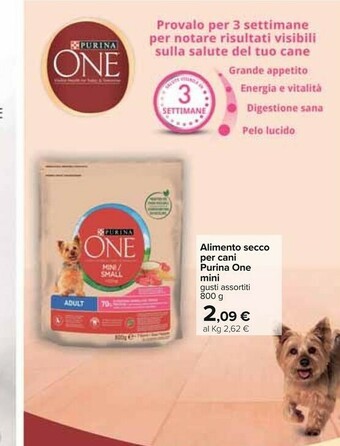 Carrefour Purina Cibo per cani offerta