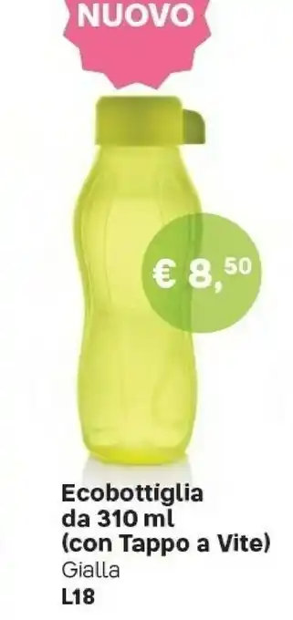 Bottiglie vetro