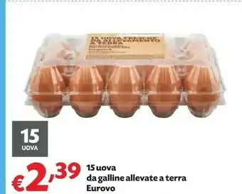 Pam Eurovo 15 Uova Da Galline Allevate A Terra offerta