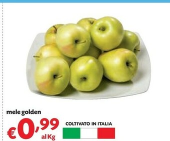 Pam Mele Golden offerta