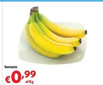 Pam Banane offerta