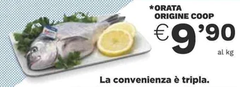 Coop ORATA ORIGINE COOP offerta