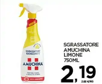 Amuchina Sgrassatore