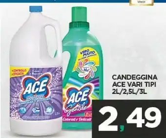 Interspar Ace Candeggina offerta