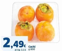 Cachi