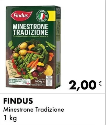 Iper Tosano FINDUS Minestrone Tradizione 1 kg offerta