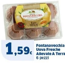 Sigma Fattoria fontanavecchia uova fresche allevate a terra offerta