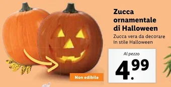 Lidl Zucca ornamentale di Halloween offerta