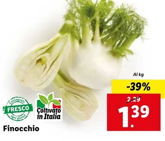 Lidl Finocchio offerta