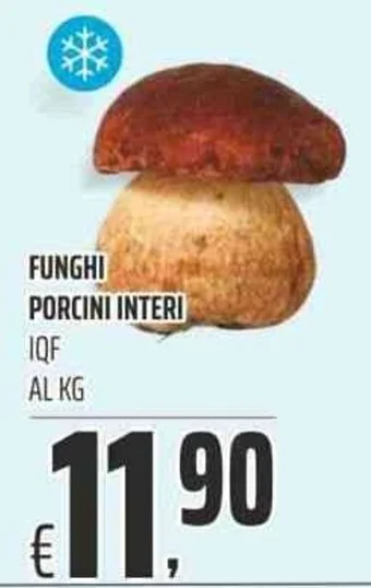 Coop FUNGHI PORCINI INTERI IQF offerta