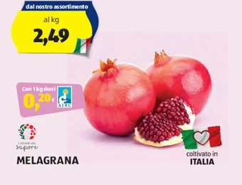 ALDI MELAGRANA offerta
